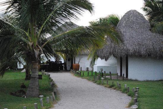 Cardon Adventure Resort Mazatlán Exterior foto